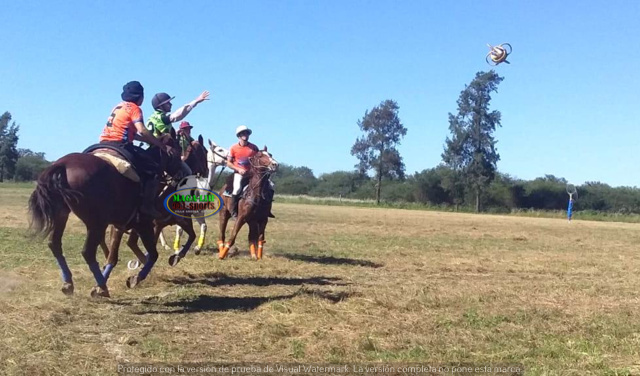 Cuatro equipos participaron del encuentro de Pato en el Club El Cencerro 