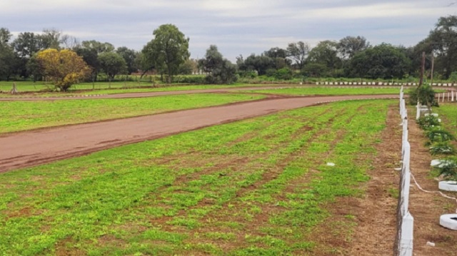 Volvió a suspenderse la 2° fecha del Karting